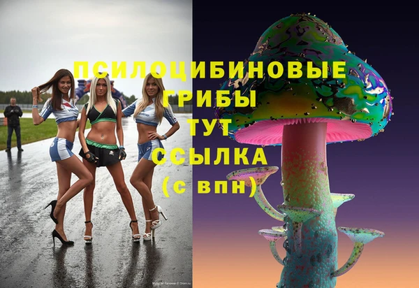скорость Покачи